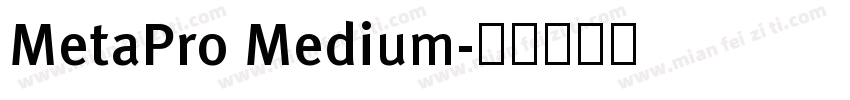 MetaPro Medium字体转换